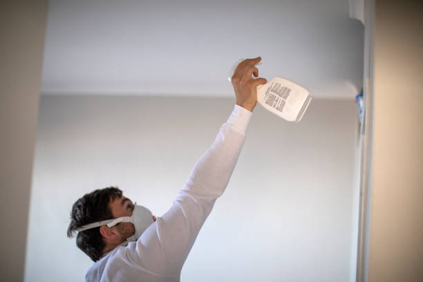 Office Mold Removal Services in Holiday Valley, OH